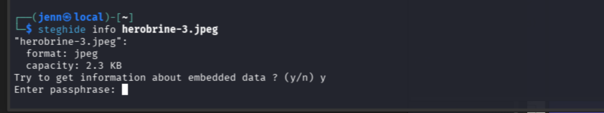 steghide confirms embedded data in the image
